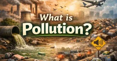 What is Pollution? Meaning, Causes, Effects and Major Types