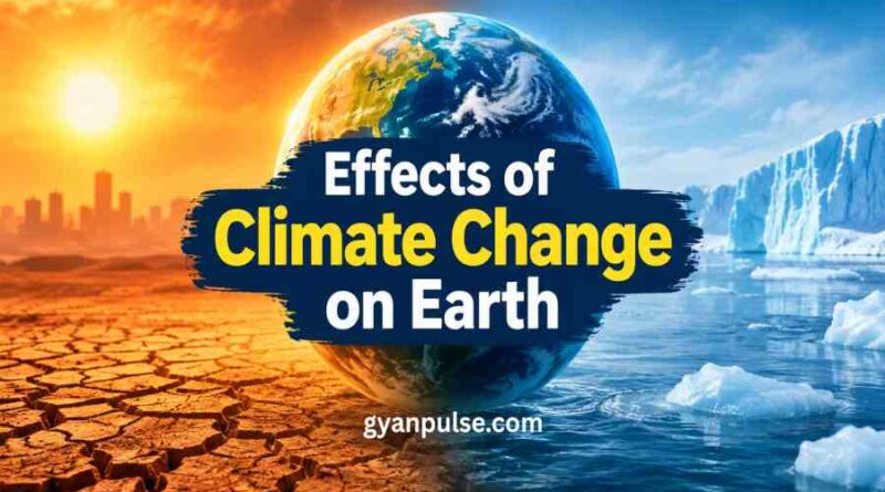 Effects of Climate Change on Earth - Complete Information to Its Impact and Future