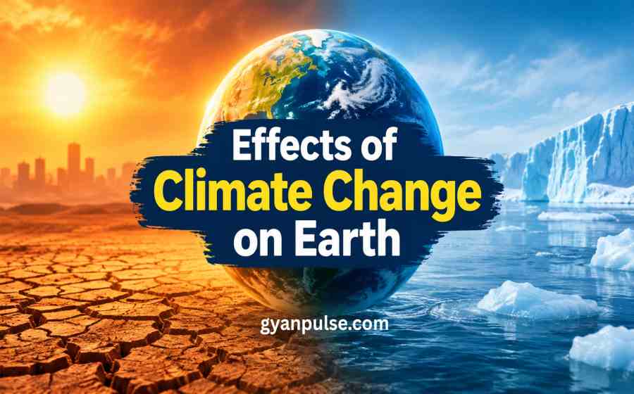 Effects of Climate Change on Earth - Complete Information to Its Impact and Future