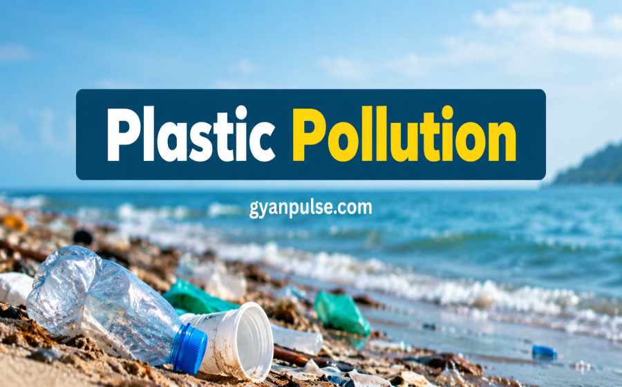 Plastic Pollution - Causes, Impacts and Practical Solutions for a Cleaner Future