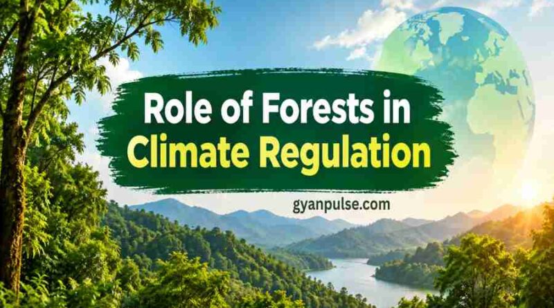 Role of Forests in Climate Regulation - Green Guardians