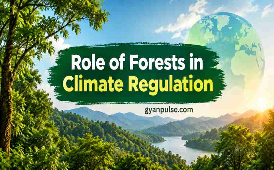 Role of Forests in Climate Regulation - Green Guardians