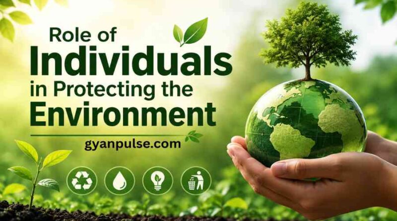The Role of Individuals in Protecting the Environment - Small Actions, Big Impact