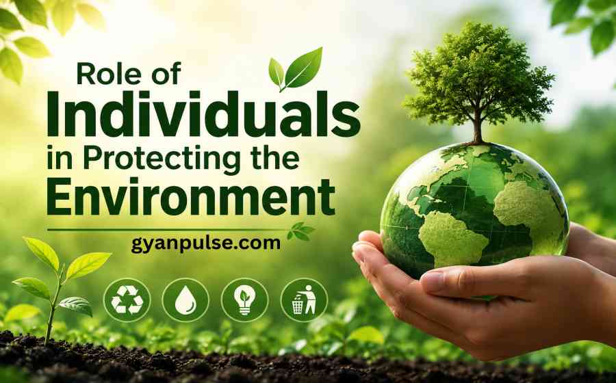The Role of Individuals in Protecting the Environment - Small Actions, Big Impact