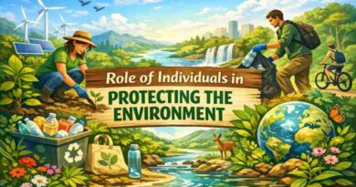 The Role of Individuals in Protecting the Environment - Small Actions, Big Impact