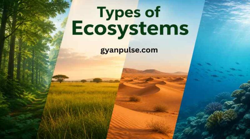 Types of Ecosystems - Forest, Grassland, Desert and Aquatic Ecosystems