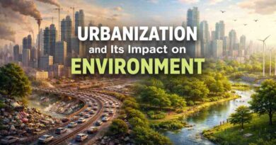 Urbanization and Its Impact on Environment