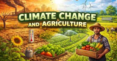 Climate Change and Agriculture - Challenges, Impacts and Sustainable Solutions