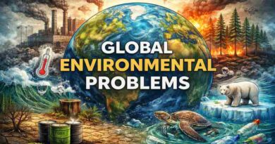 Global Environmental Problems - Causes, Impacts and Sustainable Solutions for a Better Future