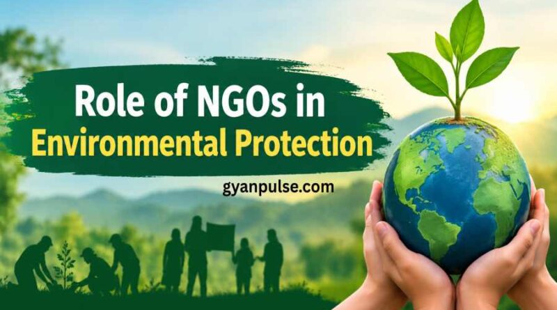 Role of NGOs in Environmental Protection and for a Sustainable Future