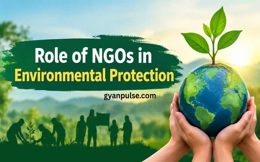 Role of NGOs in Environmental Protection and for a Sustainable Future