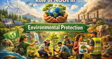Role of NGOs in Environmental Protection and for a Sustainable Future
