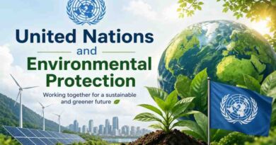 United Nations and Environmental Protection - Global Efforts to Save Our Planet