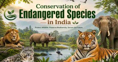 Conservation of Endangered Species in India - Powerful Strategies for Saving India’s Wildlife