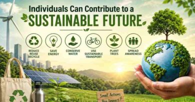 Individuals Can Contribute to a Sustainable Future - Small Actions for a Greener Planet