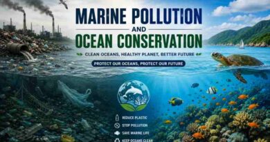 Marine Pollution and Ocean Conservation - Protecting the Blue Heart of Earth