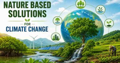 Nature Based Solutions for Climate Change - Sustainable Ways to Save the Planet