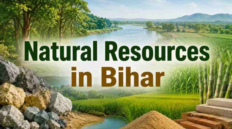 Natural Resources in Bihar - Mineral, Water, Forest and Agricultural Wealth