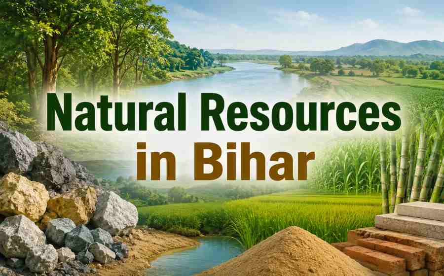 Natural Resources in Bihar - Mineral, Water, Forest and Agricultural Wealth