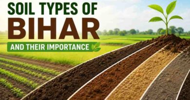 Soil Types of Bihar and Their Importance - Bihar’s Fertile Land and Farming Practices