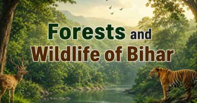 Forests and Wildlife of Bihar - Biodiversity, National Parks and Conservation