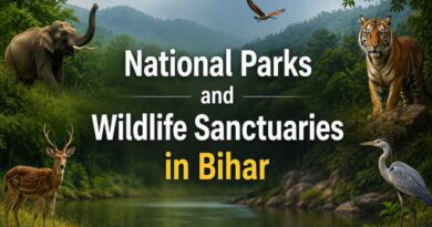 National Parks and Wildlife Sanctuaries in Bihar - Protected Areas, Wildlife and Biodiversity