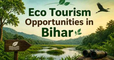 Eco Tourism Opportunities in Bihar - Nature, Wildlife and Sustainable Travel