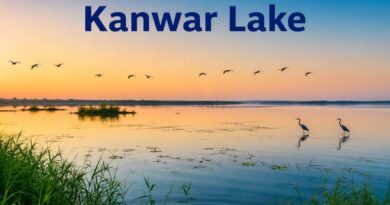 Kanwar Lake - India’s Remarkable Wetland and Bird Paradise in Bihar
