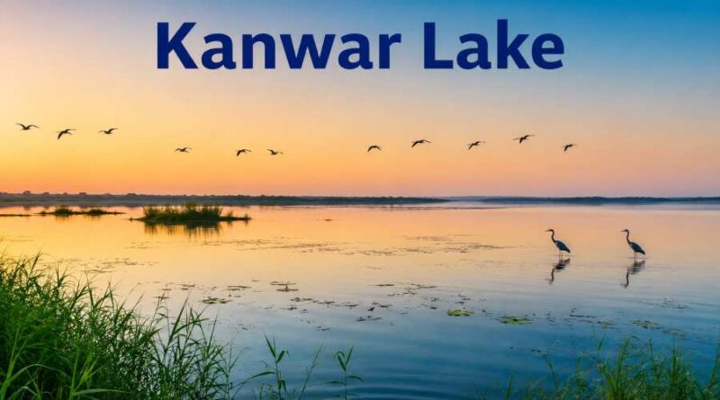 Kanwar Lake - India’s Remarkable Wetland and Bird Paradise in Bihar
