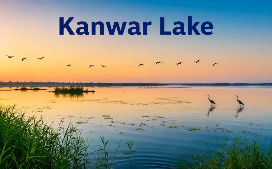 Kanwar Lake - India’s Remarkable Wetland and Bird Paradise in Bihar