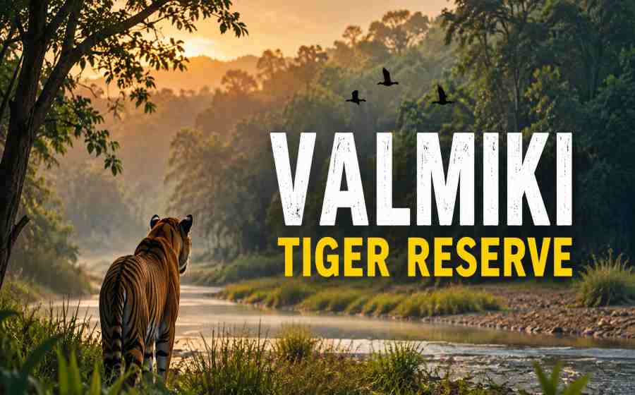 Valmiki Tiger Reserve - Bihar’s Wild Haven of Tigers, Forests and Biodiversity